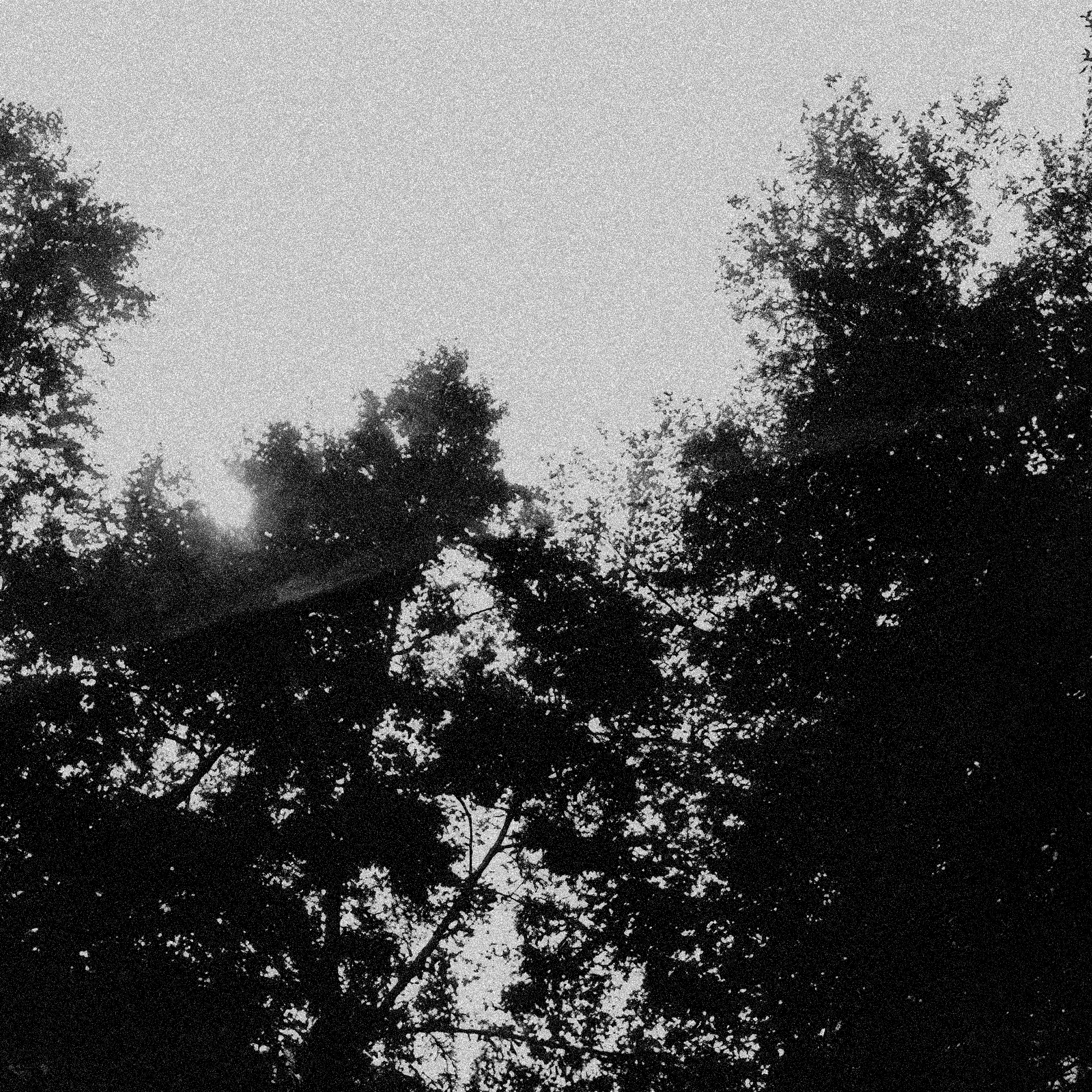 Dissociation Albüm Kapağı